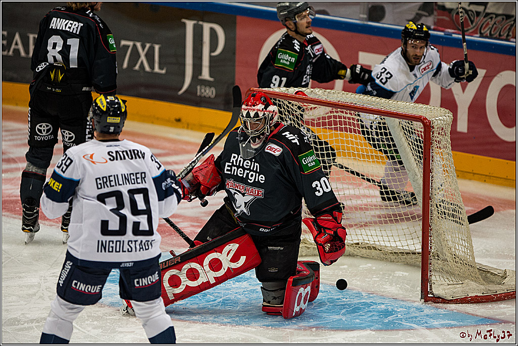 Koelner Haie - ERC Ingolstadt, 23.10.2016